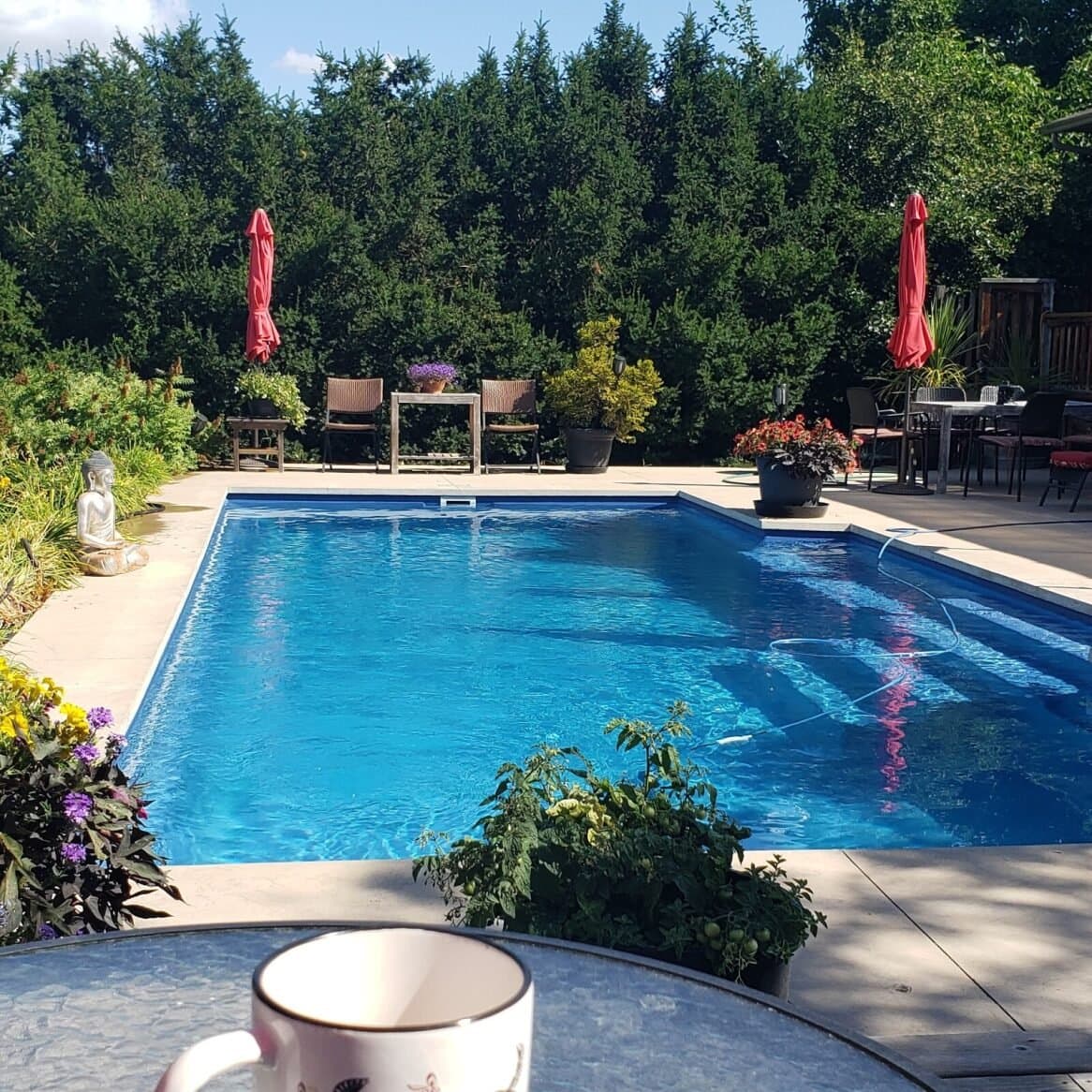 Having coffee by the salt water pool