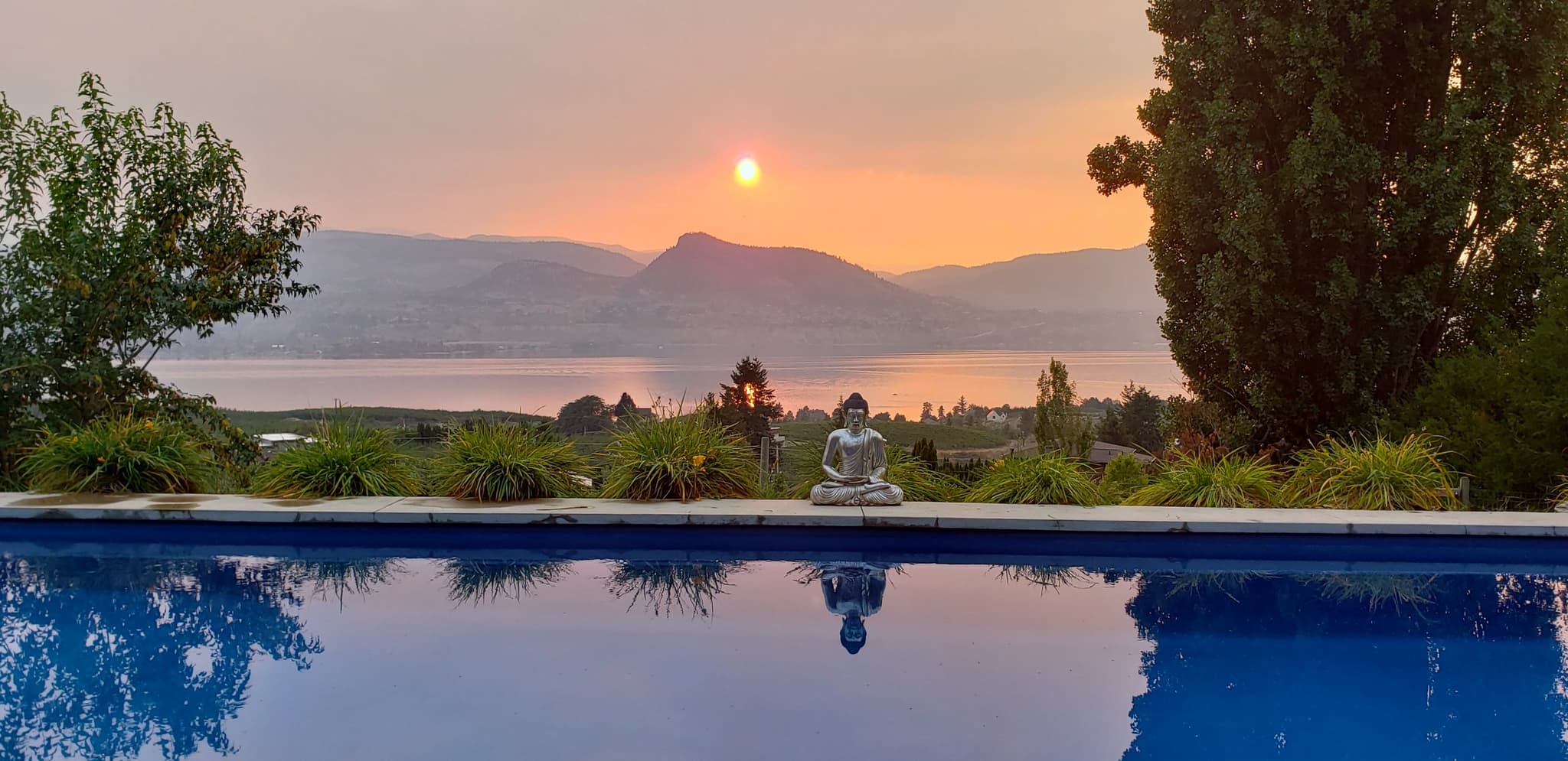 Salt water pool at a vineyard bed and breakfast in Naramata BC overlooking Okanagan Lake